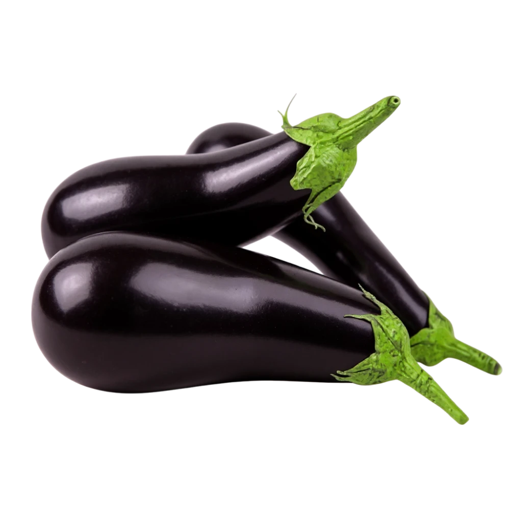 EGGPLANT ( BEGUN) 1KG